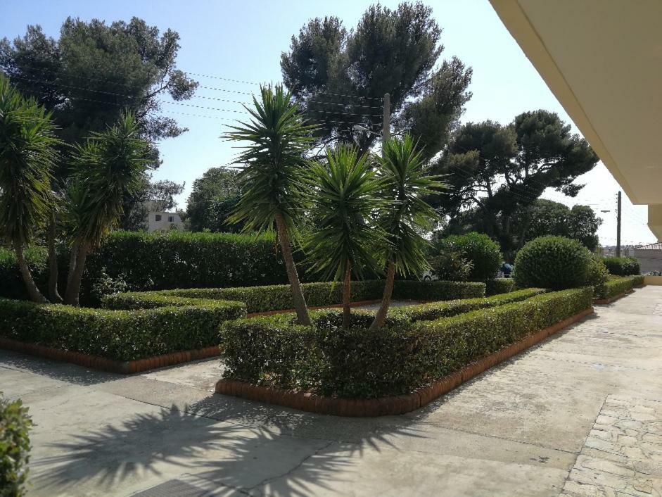 Appartement 2 Pieces Avec Balcon Tulon Zewnętrze zdjęcie